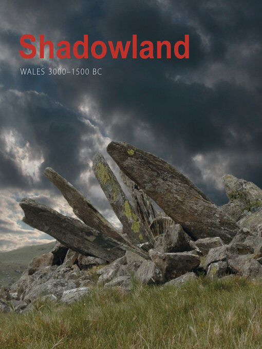 Title details for Shadowland by Stephen Burrow - Available